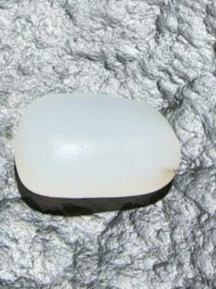 商品_19554