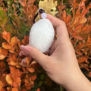 和田玉龟壳把玩青玉富甲天下白玉桌面小摆件